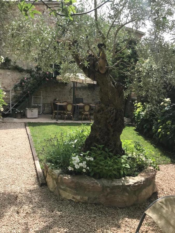 Il Borgo Di Olive Hotel Sismano Exterior photo